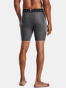 Under Armour Férfi rövidnadrágok Under Armour HG Armour Shorts
