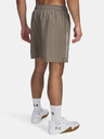 Under Armour Férfi rövidnadrágok Under Armour UA Tech Woven Wordmark Short