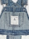 GAP Baby farmer organic cotton overall GAP