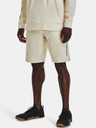 Under Armour Férfi rövidnadrágok Under Armour UA ARMOUR TERRY SHORT