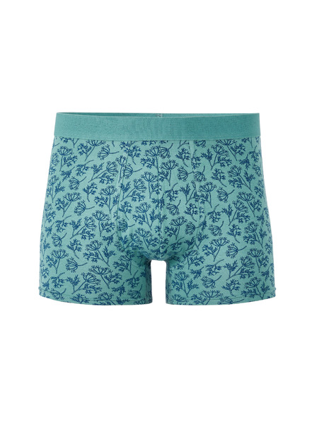 Celio Boxeralsó Libofloral