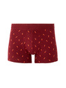 Celio Mibocarot boxer