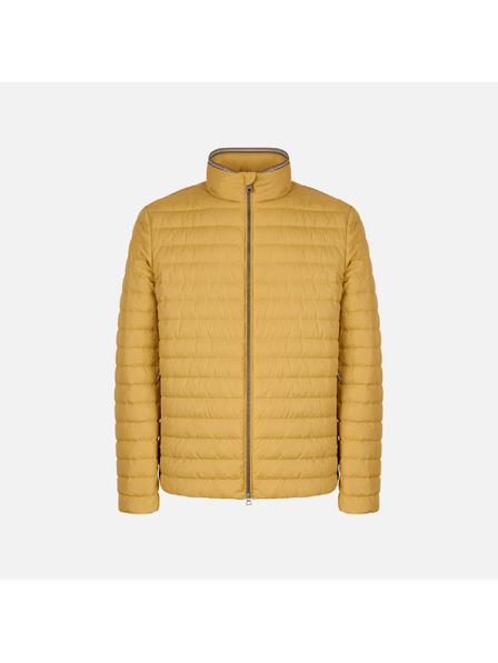 Geox Sárga férfi tollkabát Geox Warrens