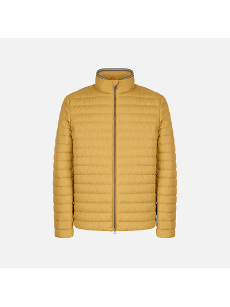 Geox Sárga férfi tollkabát Geox Warrens