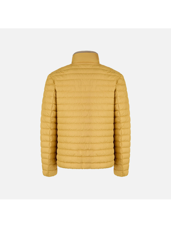 Geox Sárga férfi tollkabát Geox Warrens