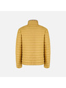 Geox Sárga férfi tollkabát Geox Warrens