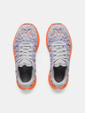 Under Armour Női cipők Under Armour W FLOW Velociti Wind