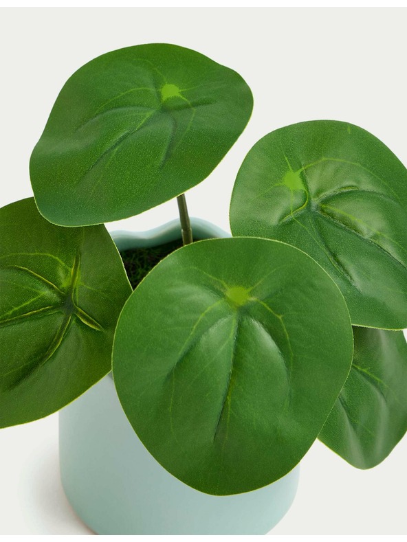 Marks & Spencer Marks & Spencer Pilea mesterséges mini cserep