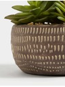 Marks & Spencer Marks & Spencer művirág szukkulens beton virágcserépben szürke
