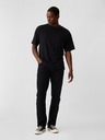 GAP Farmer straight Twill GAP