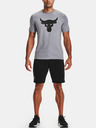 Under Armour Férfi rövidnadrágok Under Armour  Project Rock Terry Shorts