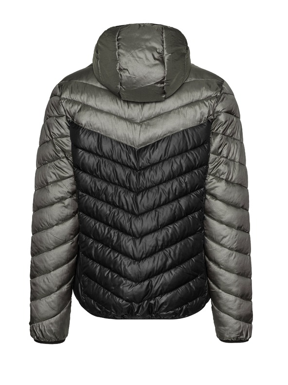 Sam 73 Andrew Dzseki