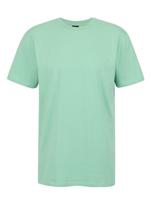 Sam 73 Világoszöld férfi póló SAM 73 Goose