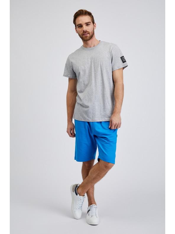 Sam 73 Világosszürke férfi csíkos póló SAM 73 Freddie