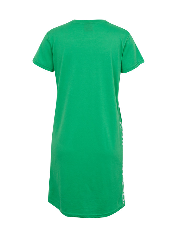 Sam 73 Delphinus Ruha