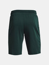 Under Armour Férfi rövidnadrágok Under Armour  Pjt Rock Terry Iron Short