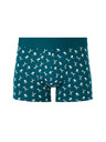 Celio Boxeralsó Jiboski Celio Jiboski Celio