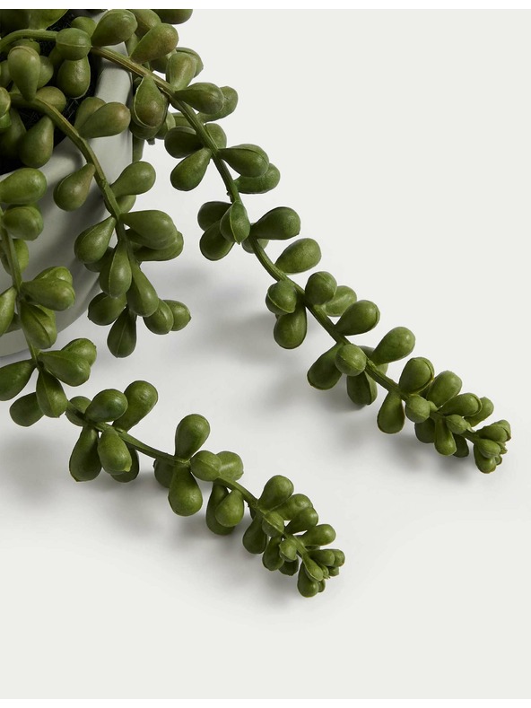 Marks & Spencer Marks & Spencer mű mini csüngő aggófű virágcserépben zöld