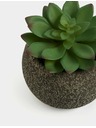 Marks & Spencer Marks & Spencer mű mini szukkulens beton virágcserépben zöld