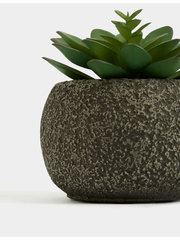 Marks & Spencer Marks & Spencer mű mini szukkulens beton virágcserépben zöld