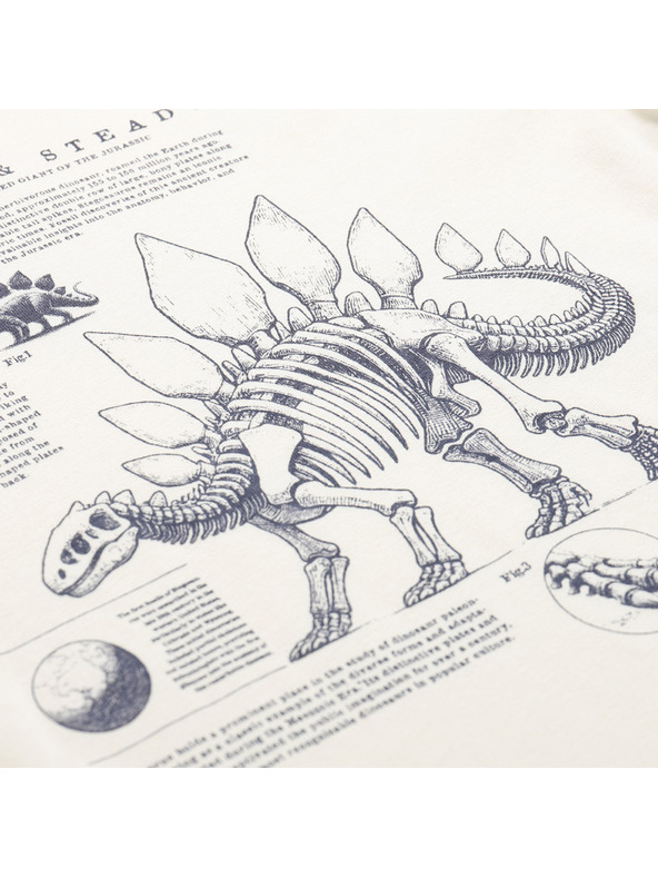 ALPINE PRO ALPINE PRO ECCO 2 gyermek organikus pamut póló creme változat pf