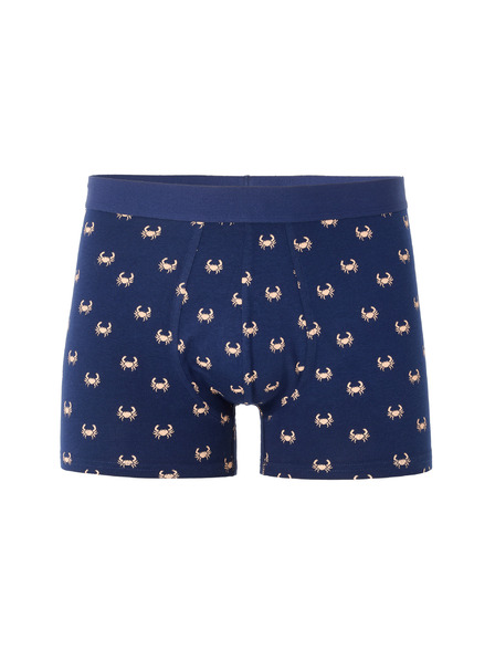 Celio Nibocrabe boxer