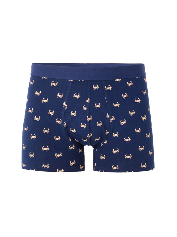 Celio Nibocrabe boxer
