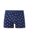 Celio Nibocrabe boxer