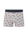 Celio Niboburger boxer