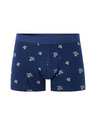 Celio Niboturtle boxer
