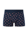 Celio Nibocola boxer