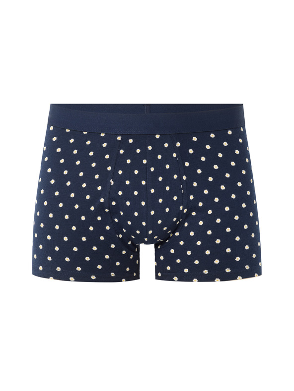Celio Nibodaisy boxer