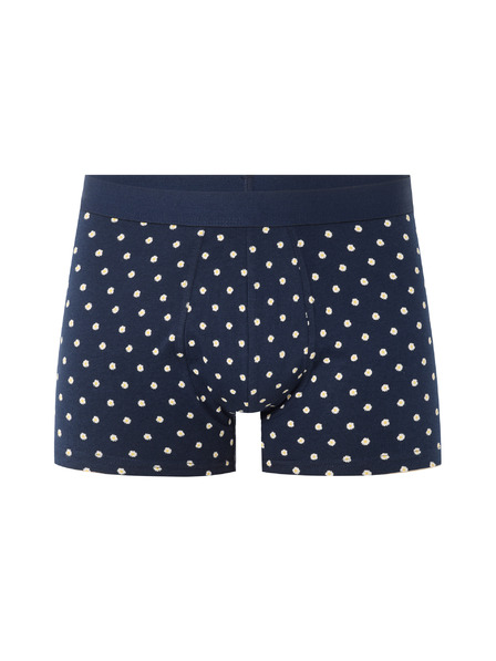 Celio Nibodaisy boxer