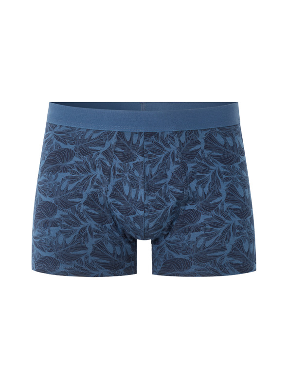 Celio Nibovegeta boxer
