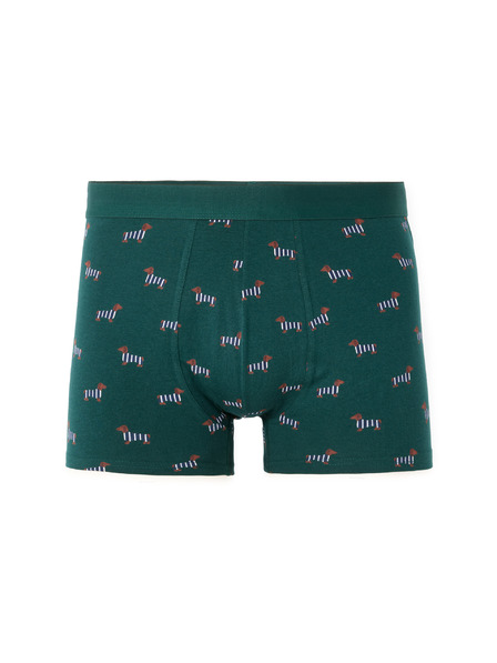 Celio Nibopets boxer