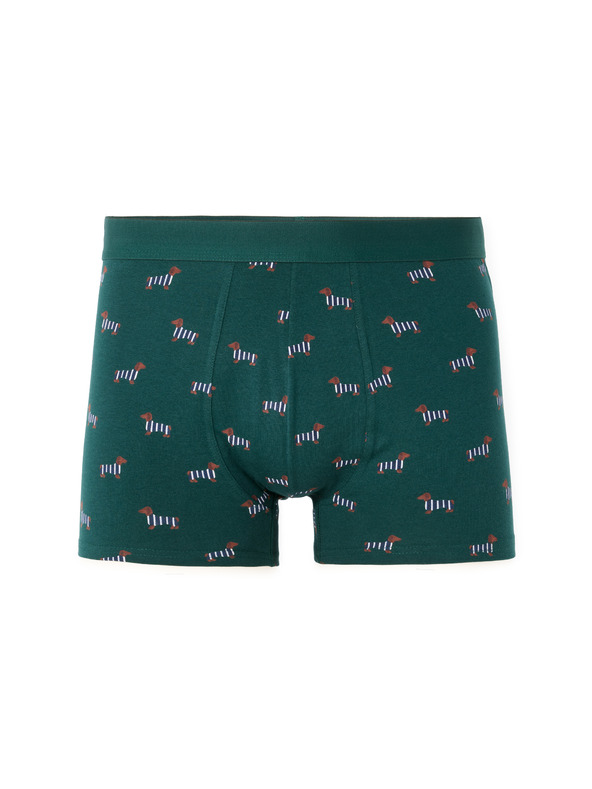 Celio Nibopets boxer