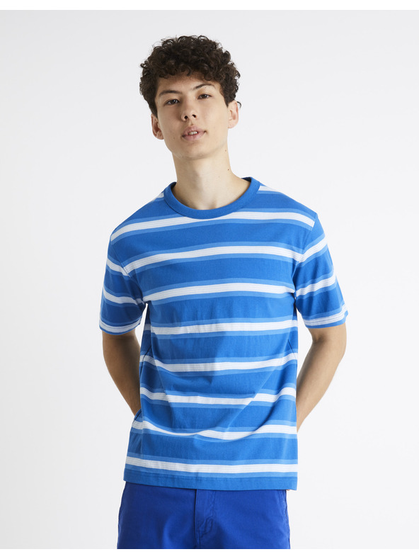 Celio Csíkos ing Bewasp Celio