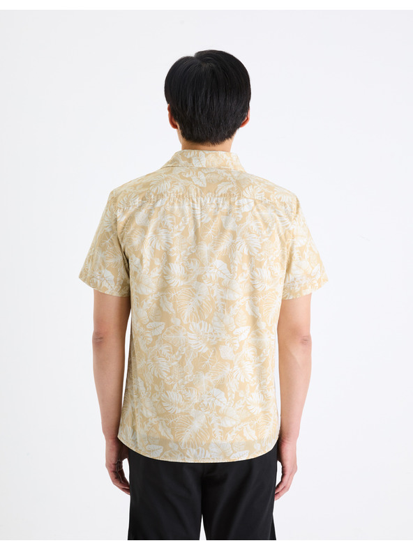 Celio Mintás ing Gafeul Celio