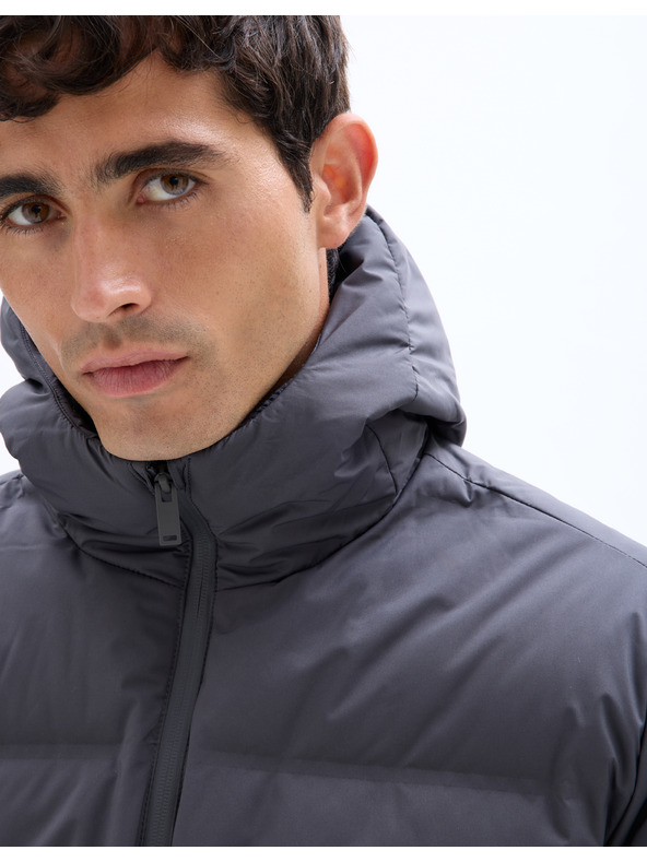 Celio Téli Juair dzseki