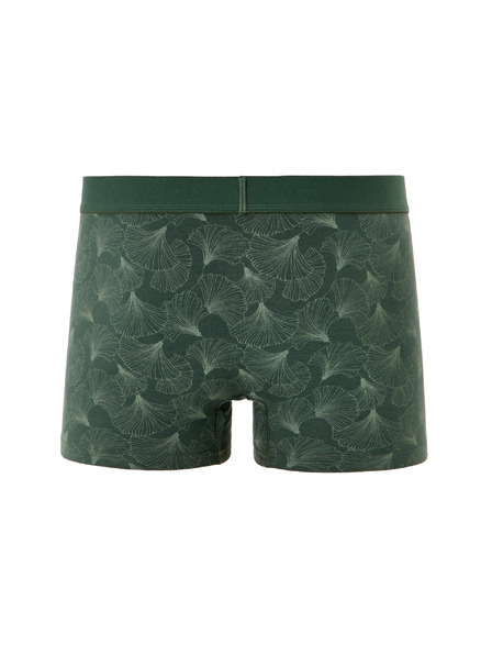 Celio Boxeralsó Miboginko