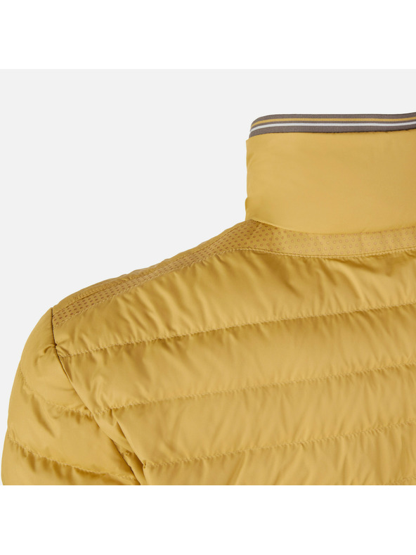 Geox Sárga férfi tollkabát Geox Warrens