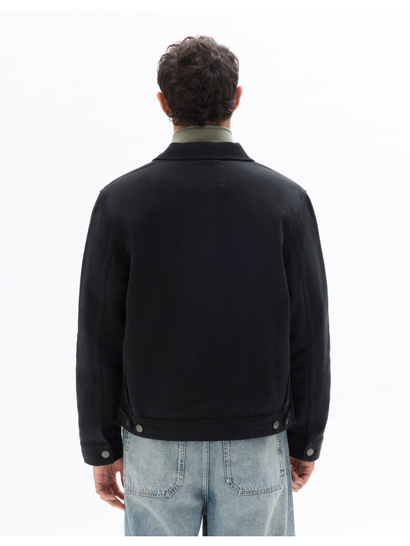 Celio Gudean1 farmer dzseki