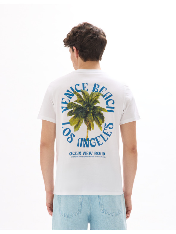 Celio Mexpalmi póló