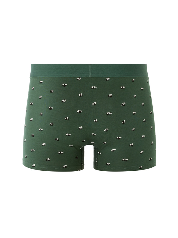 Celio Mibopanda boxer