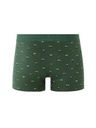 Celio Mibopanda boxer