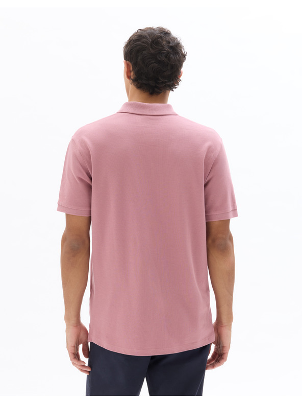 Celio Pólóing pique Teone