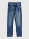 GAP Jeans Slim High Rise Vintage Washwell GAP