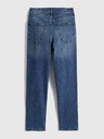 GAP Jeans Slim High Rise Vintage Washwell GAP