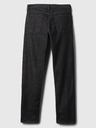 GAP Jeans GapFlex Straight GAP