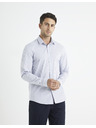 Celio Mansancar Ing